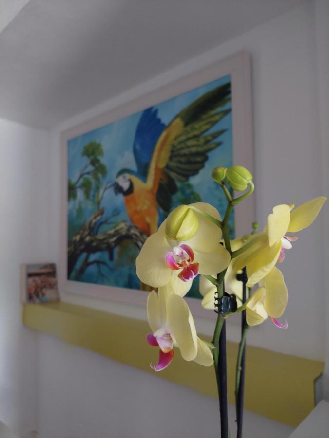 Lisbon'S Best At Campo Pequeno Hotel Екстериор снимка